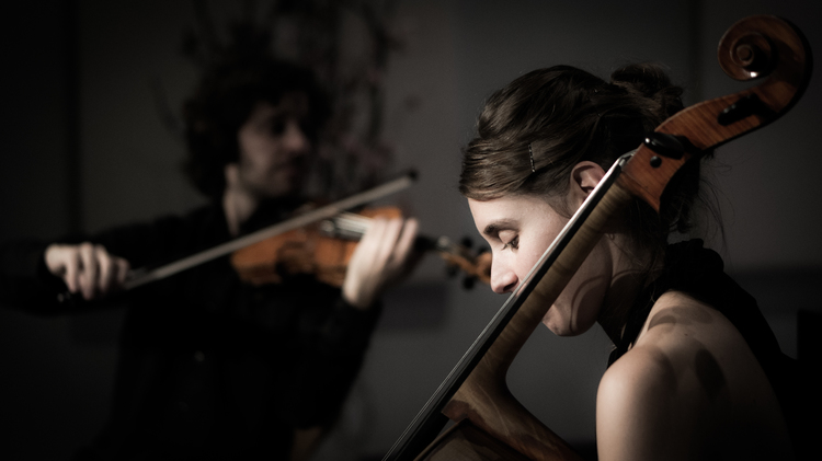 Trio Rodin in de Edesche Concertzaal